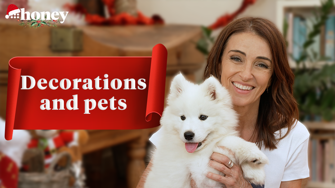 Christmas decorations and pets: what you need to know